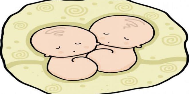 Dalla tabella: come crescono i feti gemelli di settimana in settimana