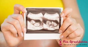 Quanto è salutare usare lo zenzero per una gravidanza gemellare?