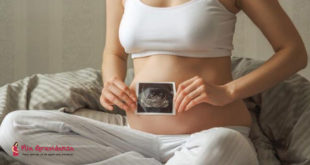 Qual è la forma del feto nella quinta settimana di gravidanza? - Mia Gravidanza