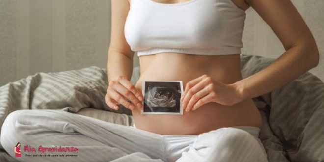Qual è la forma del feto nella quinta settimana di gravidanza? - Mia Gravidanza